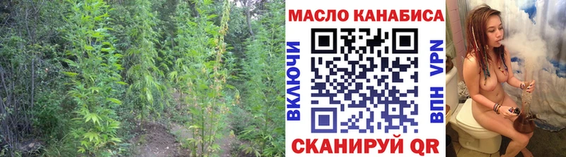 где найти   Стерлитамак  это телеграм  Дистиллят ТГК THC oil 