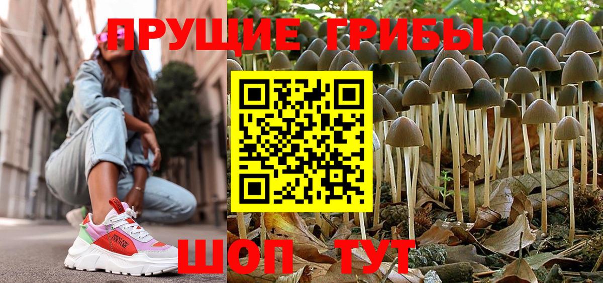 Галлюциногенные грибы Cubensis  Галлюциногенные грибы прущие грибы  Стерлитамак  сколько стоит  Вход с VPN 