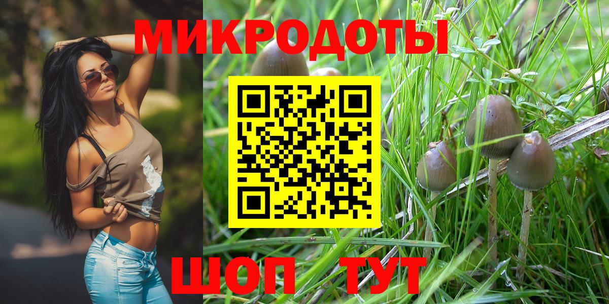 Псилоцибиновые грибы Cubensis Стерлитамак